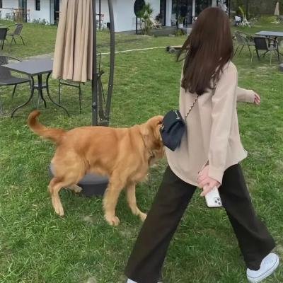 双面特工